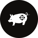 Pig - November Horoscope