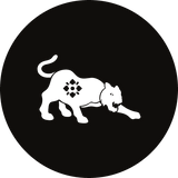 Tiger - November Horoscope