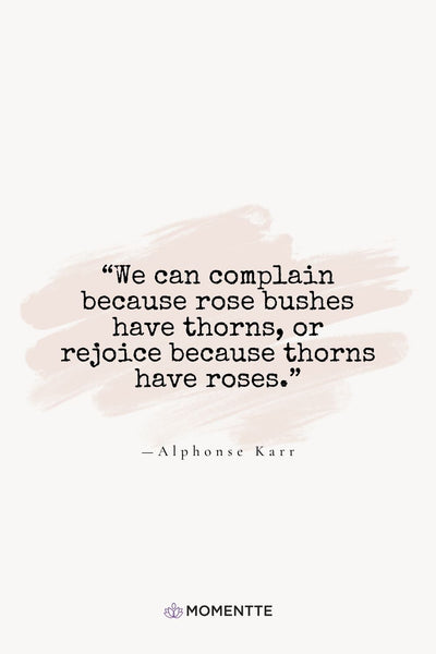 daily gratitude quotes - alphonse karr