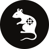 Rat - November Horoscope