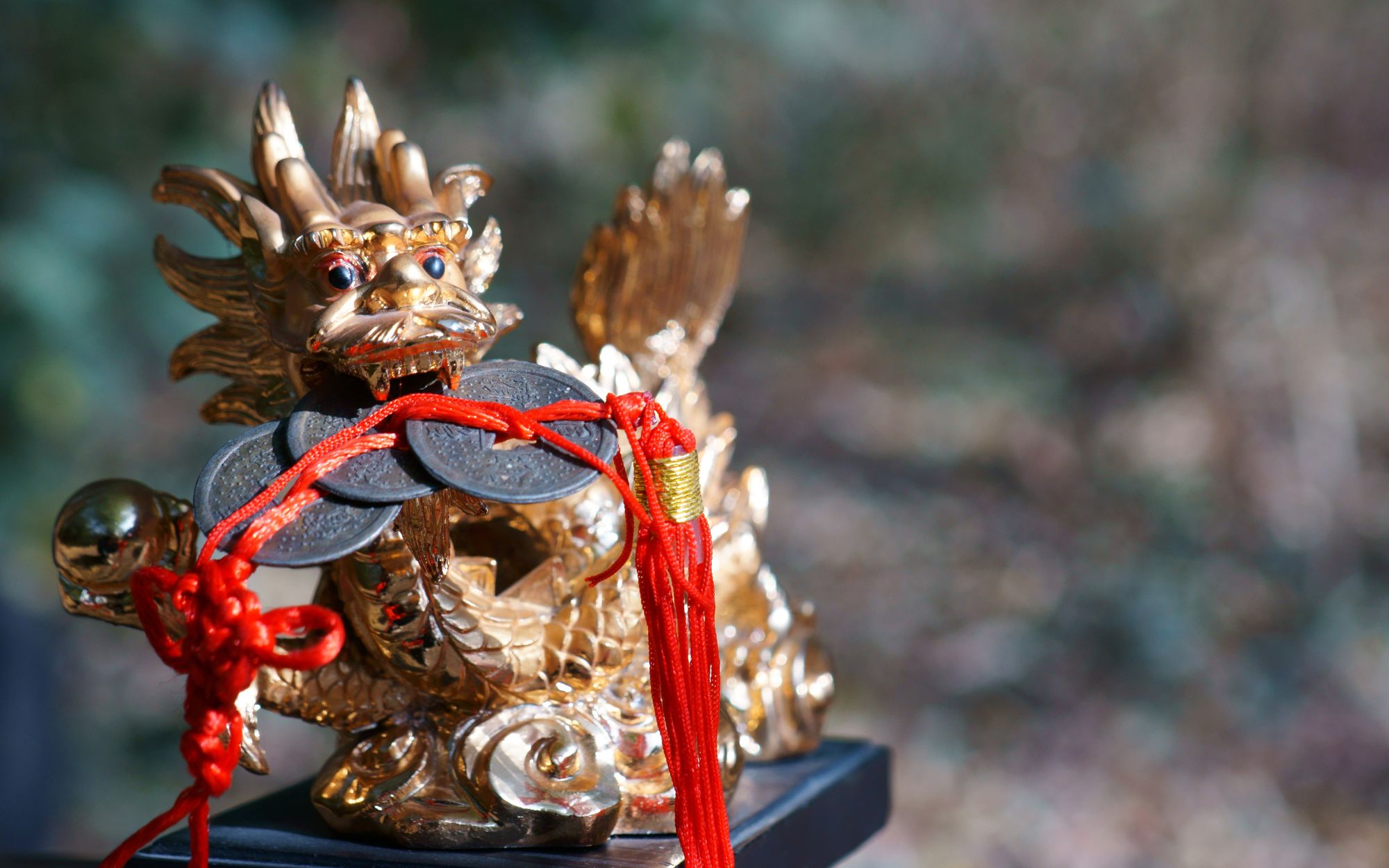 dragon symbol feng shui placement